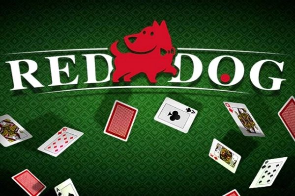 11204 red dog