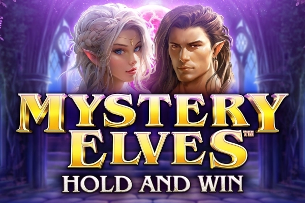23658 mystery elves